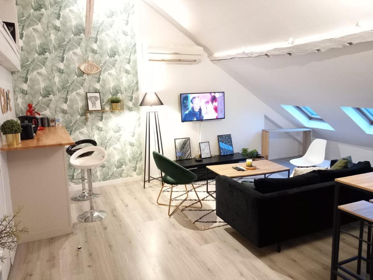 Magnifique Appartement En Hyper-Centre ! 푸아티에 외부 사진